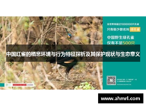 中国红雀的栖息环境与行为特征探析及其保护现状与生态意义