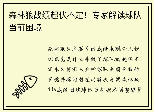 森林狼战绩起伏不定！专家解读球队当前困境