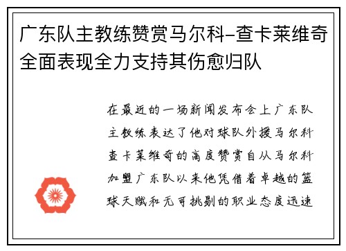 广东队主教练赞赏马尔科-查卡莱维奇全面表现全力支持其伤愈归队